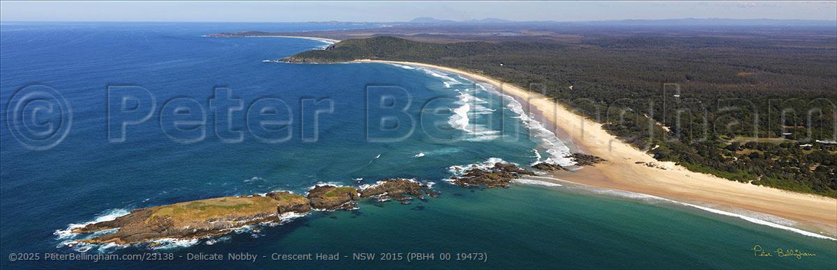 Peter Bellingham Photography Delicate Nobby - Crescent Head - NSW 2015 (PBH4 00 19473)